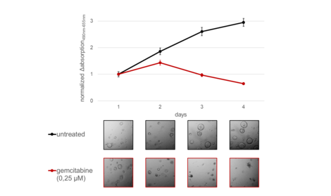 Growth-curves of one organoid-line during treatment with gemcitabine for 4 days to evaluate chemosensitivity.
