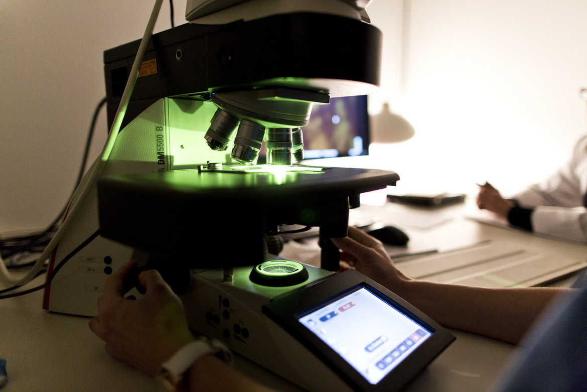Laborprobe wird unter Licht mikroskopiert.