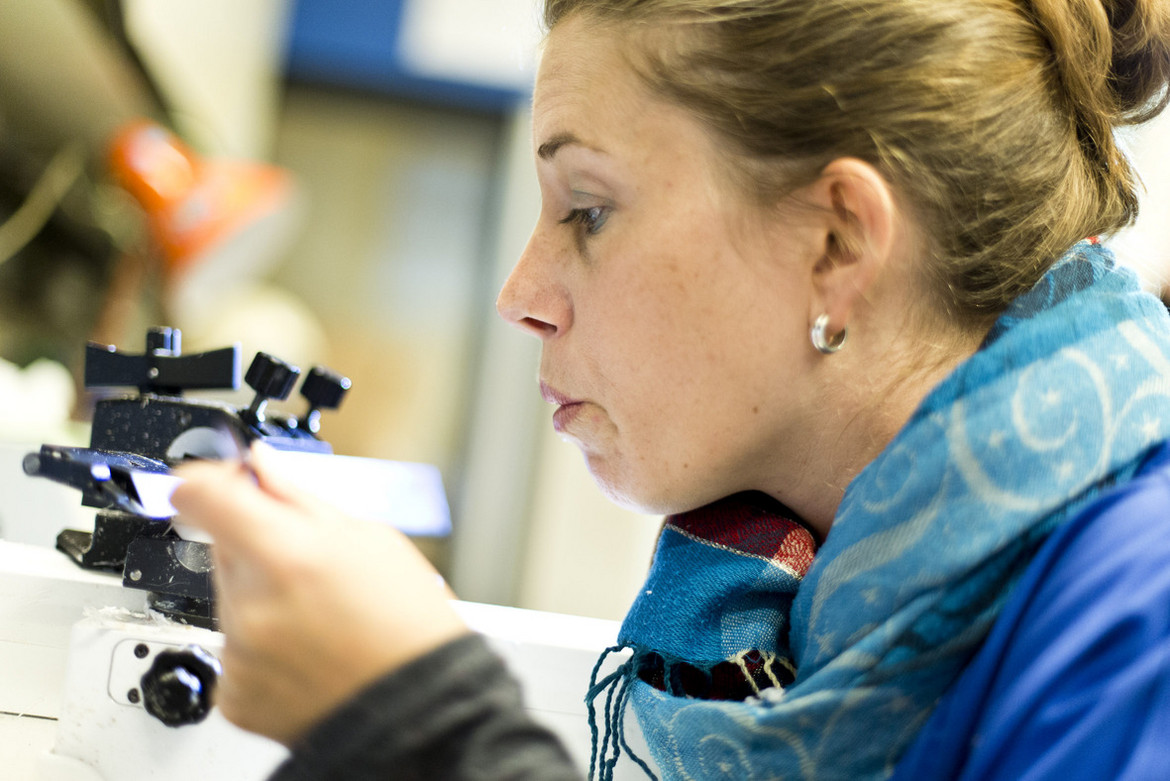Mitarbeiterin der Pahtologie betrachtet Objektträger vor einem Mikroskop.