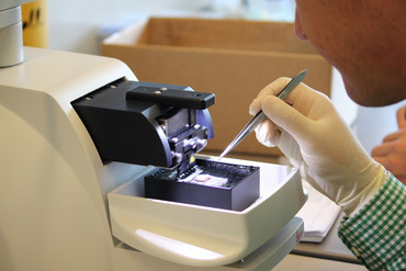 Mitarbeiter der Pathologie richtet die Probe in dem Mikroskop.